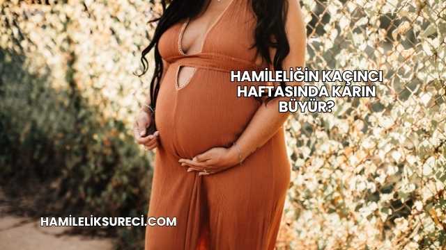 Hamileliğin Kaçıncı Haftasında Karın Büyür?