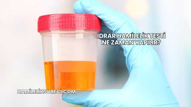 İdrar Hamilelik Testi Ne Zaman Yapılır?