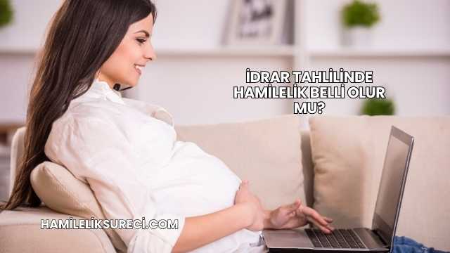 İdrar Tahlilinde Hamilelik Belli Olur mu?
