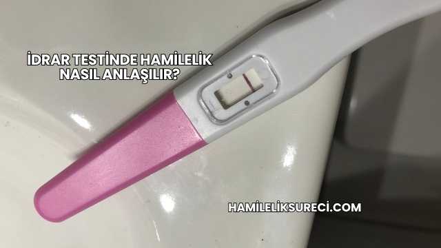 İdrar Testinde Hamilelik Nasıl Anlaşılır?