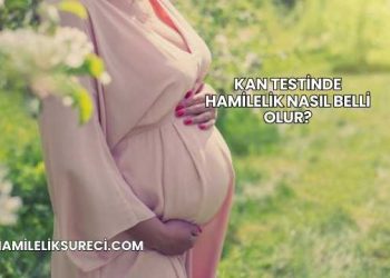 Kan Testinde Hamilelik Nasıl Belli Olur?