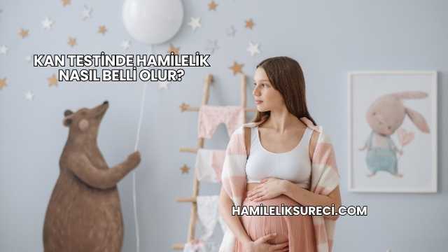 Kan Testinde Hamilelik Nasıl Belli Olur?