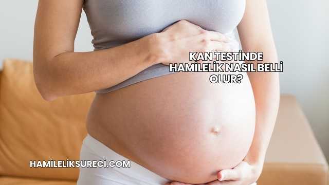 Kan Testinde Hamilelik Nasıl Belli Olur?