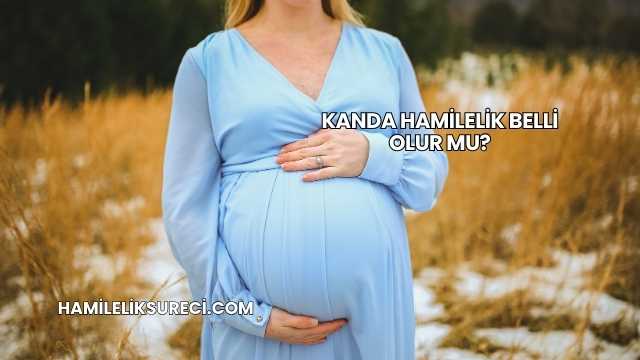 Kanda Hamilelik Belli Olur mu?