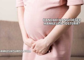 Kandaki Hangi Değer Hamileliği Gösterir?