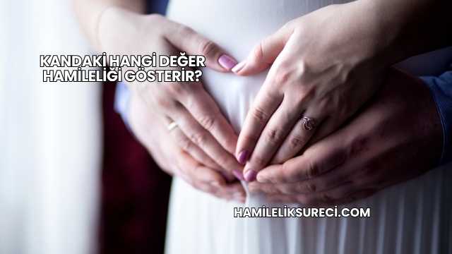 Kandaki Hangi Değer Hamileliği Gösterir?