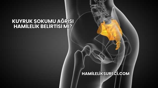Kuyruk Sokumu Ağrısı Hamilelik Belirtisi mi?