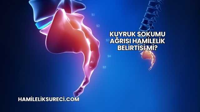 Kuyruk Sokumu Ağrısı Hamilelik Belirtisi mi?