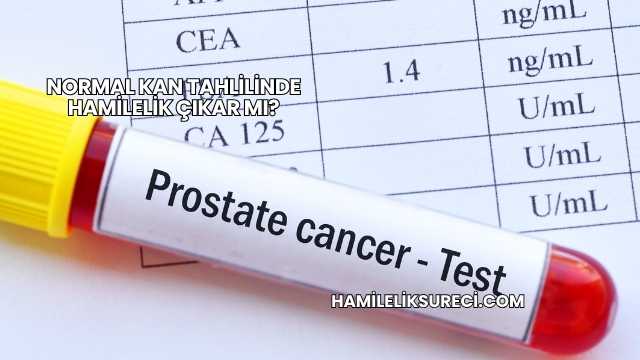 Normal Kan Tahlilinde Hamilelik Çıkar mı?