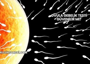 Ovula Gebelik Testi Güvenilir mi?