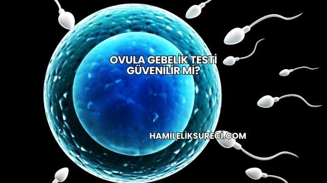Ovula Gebelik Testi Güvenilir mi?