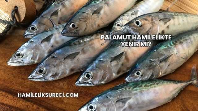 Palamut Hamilelikte Yenir mi?