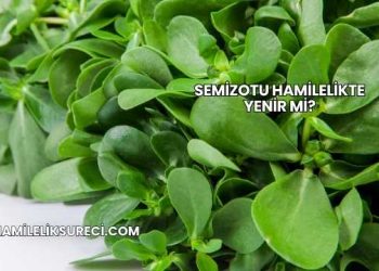 Semizotu Hamilelikte Yenir mi?