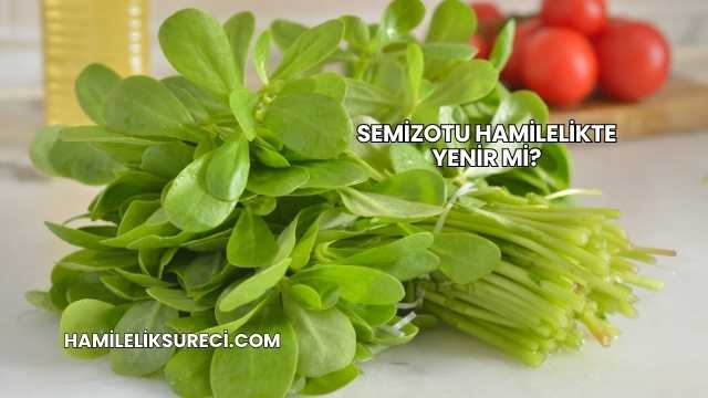 Semizotu Hamilelikte Yenir mi?