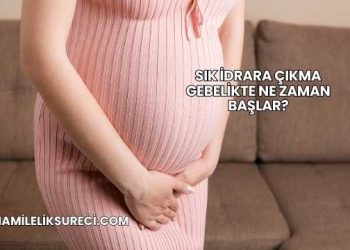 Sık İdrara Çıkma Gebelikte Ne Zaman Başlar?
