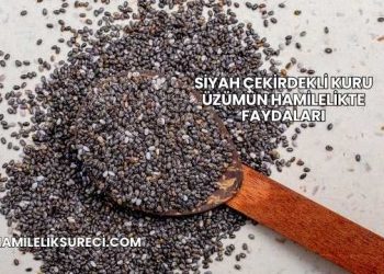 Siyah Çekirdekli Kuru Üzümün Hamilelikte Faydaları