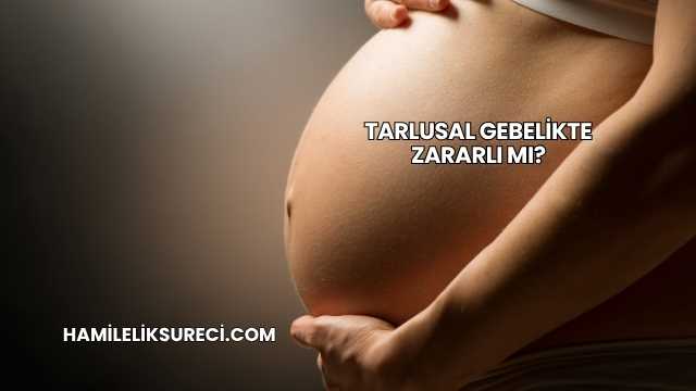 Tarlusal Gebelikte Zararlı mı?