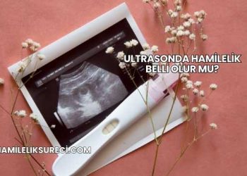 Ultrasonda Hamilelik Belli Olur mu?