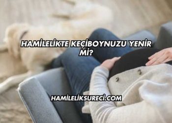 Hamilelikte Keçiboynuzu Yenir mi?