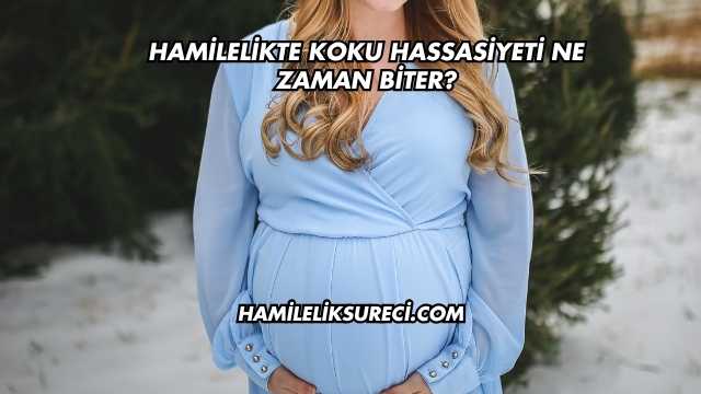 Hamilelikte Koku Hassasiyeti Ne Zaman Biter?