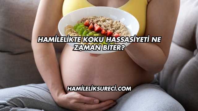 Hamilelikte Koku Hassasiyeti Ne Zaman Biter?