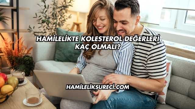 Hamilelikte Kolesterol Değerleri Kaç Olmalı?