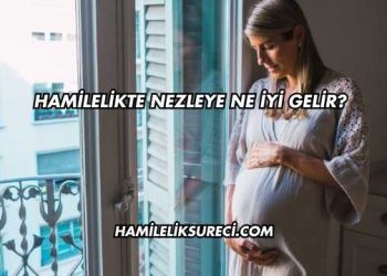 Hamilelikte Nezleye Ne İyi Gelir?