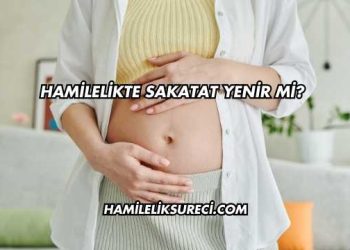 Hamilelikte Sakatat Yenir mi?