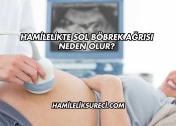 Hamilelikte Sol Böbrek Ağrısı Neden Olur?
