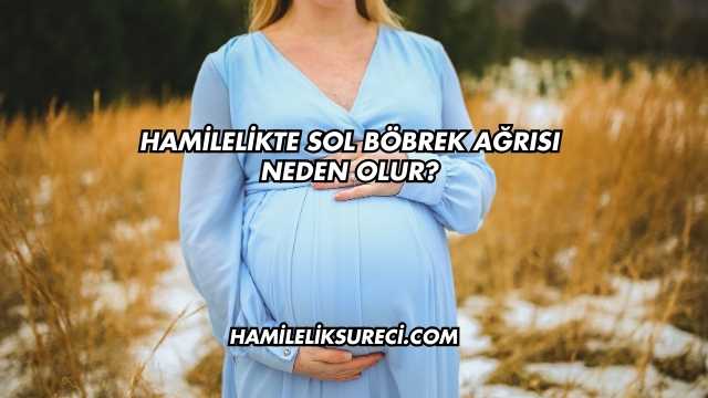 Hamilelikte Sol Böbrek Ağrısı Neden Olur?