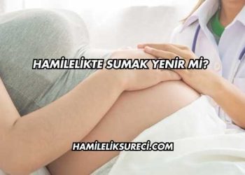 Hamilelikte Sumak Yenir mi?