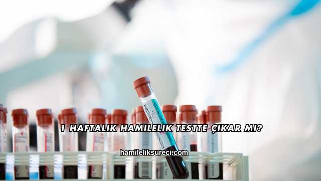 1 Haftalık Hamilelik Testte Çıkar mı?