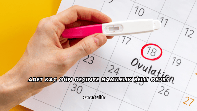 Adet Kaç Gün Geçince Hamilelik Belli Olur?