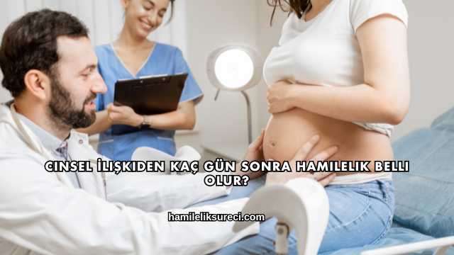 Cinsel İlişkiden Kaç Gün Sonra Hamilelik Belli Olur?