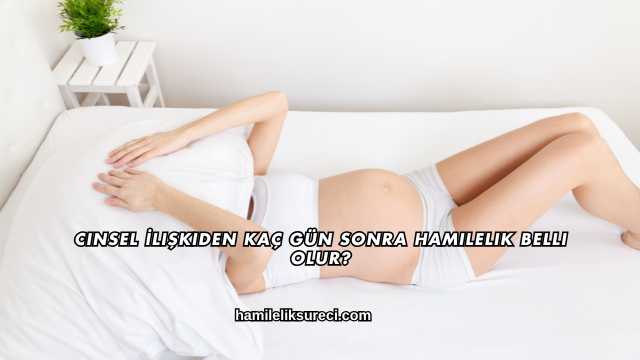 Cinsel İlişkiden Kaç Gün Sonra Hamilelik Belli Olur?