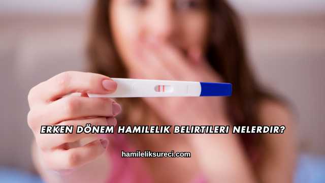 Erken Dönem Hamilelik Belirtileri Nelerdir?