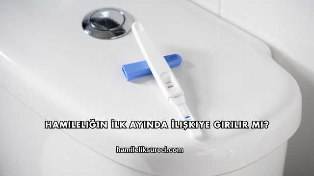 Hamileliğin İlk Ayında İlişkiye Girilir mi?