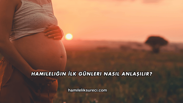 Hamileliğin İlk Günleri Nasıl Anlaşılır?