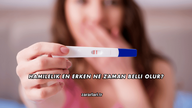 Hamilelik En Erken Ne Zaman Belli Olur?