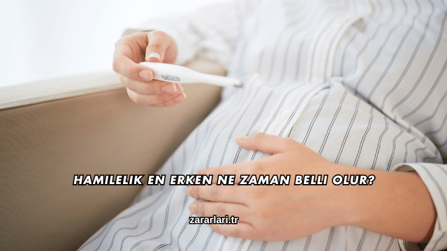 Hamilelik En Erken Ne Zaman Belli Olur?