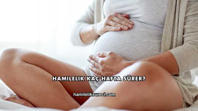 Hamilelik Kaç Hafta Sürer?
