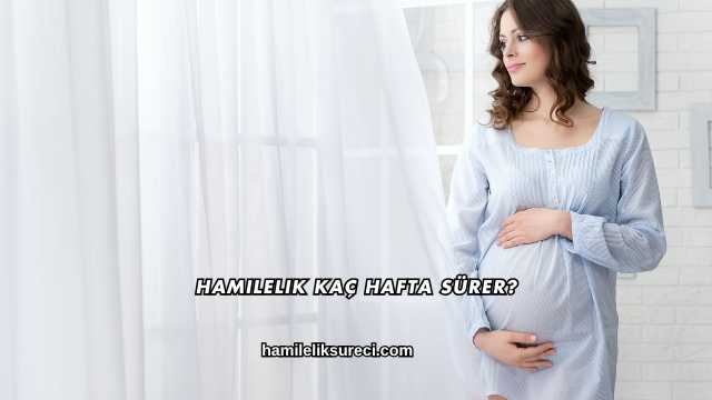 Hamilelik Kaç Hafta Sürer?