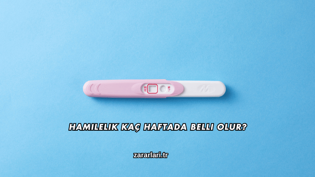 Hamilelik Kaç Haftada Belli Olur?
