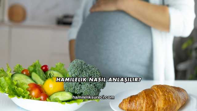 Hamilelik Nasıl Anlaşılır?