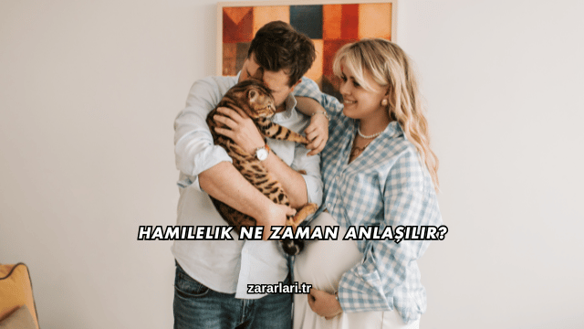 Hamilelik Ne Zaman Anlaşılır?