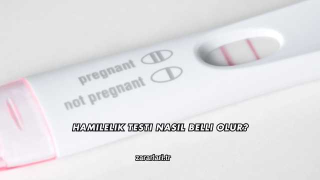 Hamilelik Testi Nasıl Belli Olur?