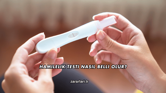 Hamilelik Testi Nasıl Belli Olur?
