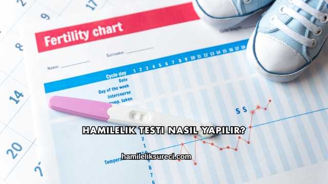 Hamilelik Testi Nasıl Yapılır?