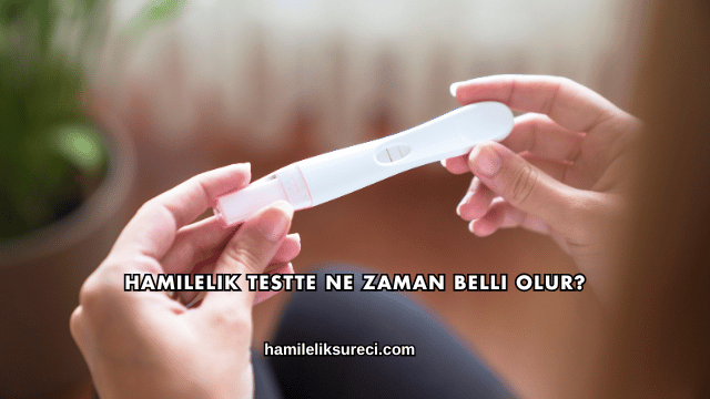 Hamilelik Testte Ne Zaman Belli Olur?