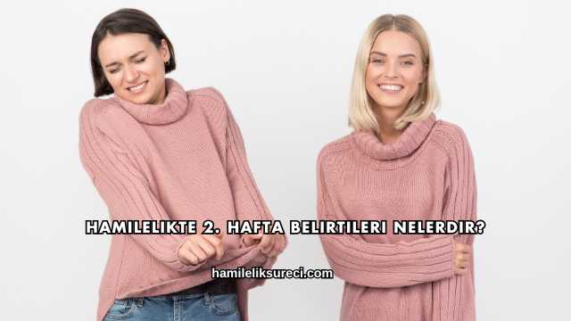 Hamilelikte 2. Hafta Belirtileri Nelerdir?